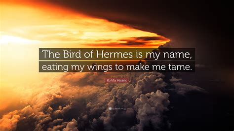 the bird of hermes english|the bird of hermes is my name eating wings.